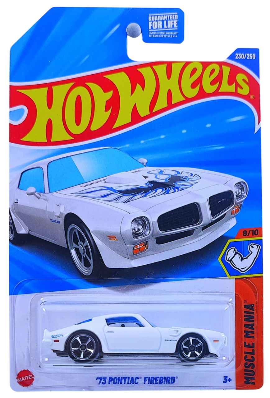 Hot Wheels 2025 - Collector # 230/250 - Muscle Mania 8/10 - '73